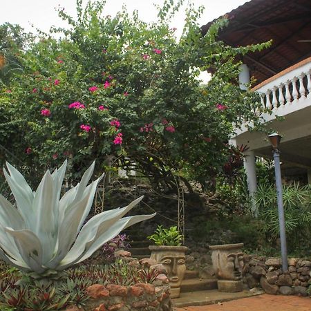 Hotel M&M Casa Blanca Playa Ocotal المظهر الخارجي الصورة